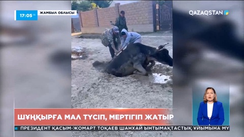 Жамбыл облысында мердігердің сапасыз жұмысынан көшелер опырылып жатыр