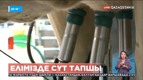 Қазақстан импортталған сүтке тәуелді болып барады - фермерлер одағы