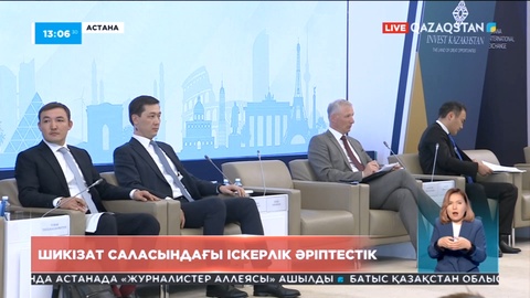 Сирек кездесетін жер элементтерін игеру үшін еуропалық компаниялар тартылады