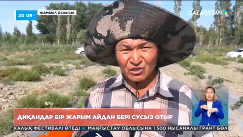 Жамбыл облысында жалпы аумағы 181 мың га егістік алқаптарының тең жартысына су жеткізе алмай отыр