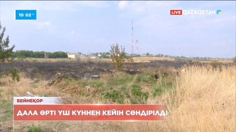 Абай облысының Көкпекті ауданында тұтанған қамыс өрті толығымен сөндірілді