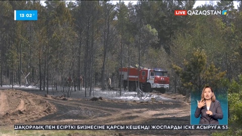 Абай облысының Көкпекті ауданында 910 гектарға жуық жер өртеніп кетті