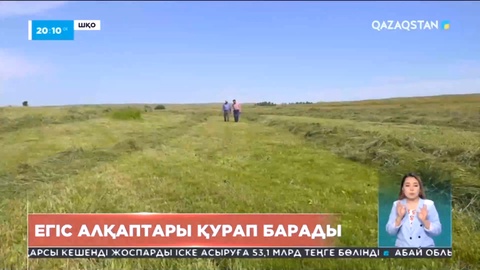 Шығыс Қазақстан облысында биыл да қуаңшылық болуы мүмкін