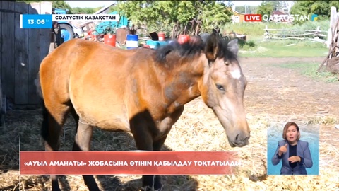 Солтүстік Қазақстанда «Ауыл аманаты» жобасы бойынша өтінім қабылдау тоқтатылды