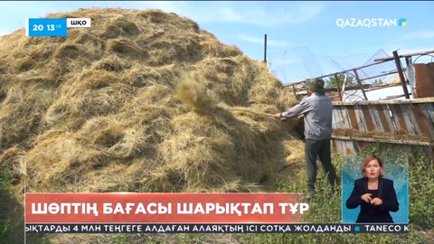 Шығыс Қазақстан облысының тұрғындарына жем-шөп дайындау қиын болып тұр