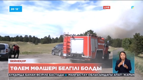 Абай облысында қаза тапқан орманшылардың отбасына берілетін төлемақы көлемі жарияланды