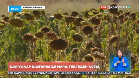 Жамбыл облысында қуаңшылықтан 347 шаруа шығынға ұшырады