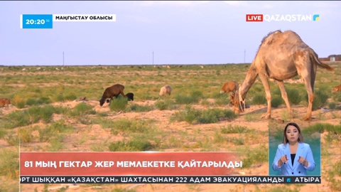 Маңғыстау облысында 81 мың га жер мемлекетке қайтарылды