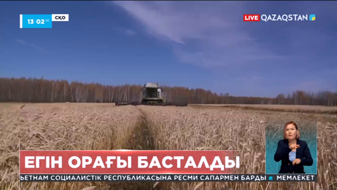 Солтүстік Қазақстанда егін орағы басталды