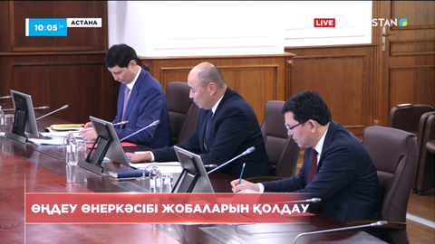 Үкіметте өңдеу өнеркәсібі жобаларын қолдау мәселесі талқыланды