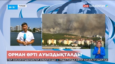 Түркиядағы Чанаккале облысындағы өрт егістіктен шыққан