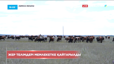 Ақмола облысында құны 120 млн теңге болатын жайылым жер мемлекетке қайтарылды