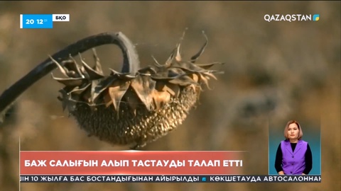 Батыс Қазақстандық шаруалар баж салығын алып тастауды талап етеді