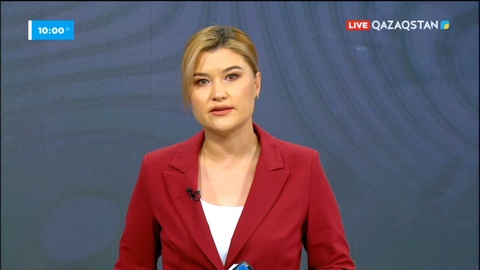 Президент: Қазақ-қырғыз шекарасындағы ахуалды реттеу керек