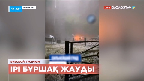 Шымкентте бұршақ жауды