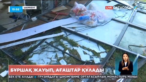 Шымкентте бұршақ жауды: Ағаштар құлап, дүкен ғимаратын басып қалды