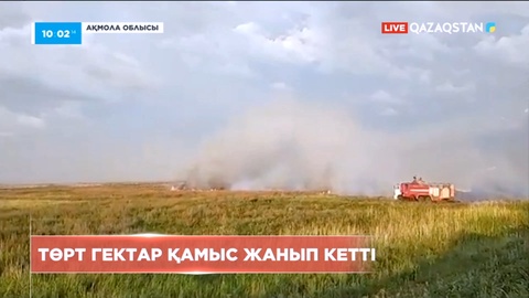 Астана іргесінде 4 гектар қамыс жанып кетті