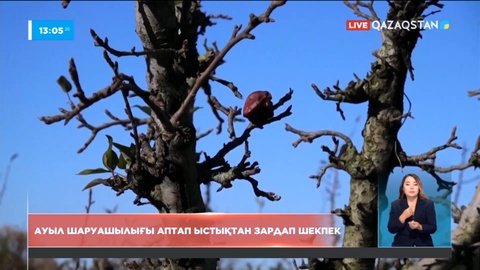 Швейцарияда ауыл шаруашылығы аптап ыстықтан зардап шегуі мүмкін