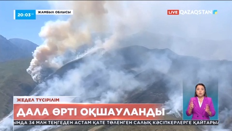 Жамбыл облысындағы тауларда құрғақ шөп өрті ауыздықталды