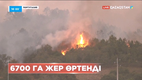 Португалияның оңтүстігінде орман өрті қаулады