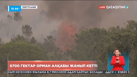 Португалияда орман өртімен күрес жалғасып жатыр