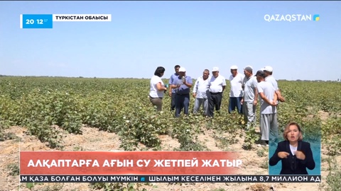 Түркістан облысында мақталық алқаптар қурап жатыр