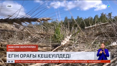 Солтүстік Қазақстан облысында егін орағы кешеуілдеді