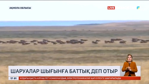 Ақмола облысында шаруалар шығынға баттық деп отыр