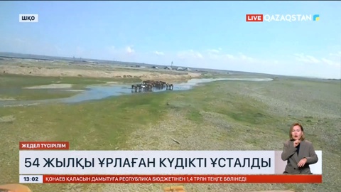 Шығыс Қазақстанда 54 жылқы ұрлаған күдікті ұсталды