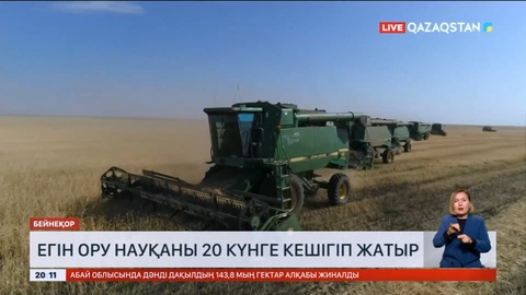 Ақтөбе облысында егін орағы үш аптаға кешігіп жатыр
