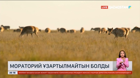 Келер жылдан бастап киіктерді атуға рұқсат берілуі мүмкін