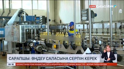 Сарапшы: Өңдеу саласына серпін керек