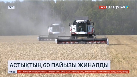 Солтүстік Қазақстанда астықтың 60 пайызы жиналды