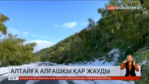 Алтайға алғашқы қар жауды