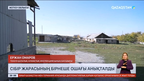 Жетісу облысында сібір жарасының бірнеше ошағы анықталды