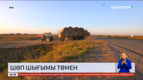 Батыс Қазақстанда биыл шөп шығымы төмен
