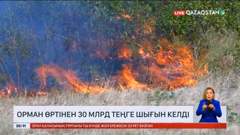 Соңғы 5 жылда орман өрті елімізге 30 млрд теңге шығын келтірген