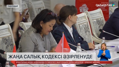 Елде жаңа салық кодексі әзірленуде
