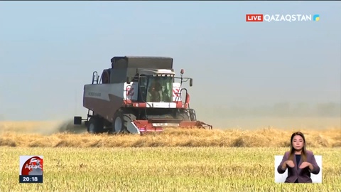 Жолдау: Агросектор дамуы үшін не істеу қажет?