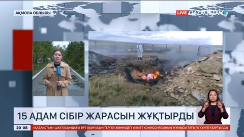 Ақмола облысында 15 адам сібір жарасын жұқтырды