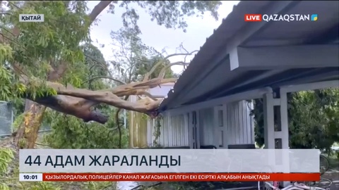 Тайвань аралында дүлей дауылдан 44 адам жараланды