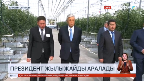 Мемлекет басшысы Алматыдағы қызанақ пен көшет өсіретін жылыжай кешенін аралап көрді