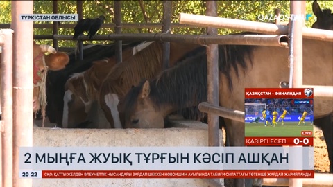 Түркістан облысында 2 мыңға жуық тұрғын кәсіп ашқан