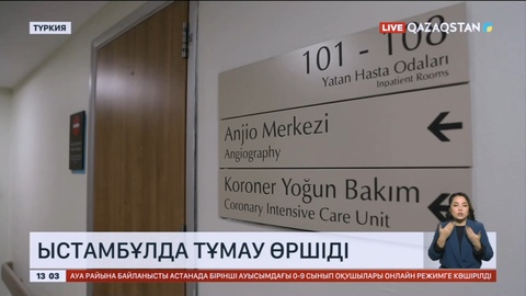 Стамбұлда тұмау өршіді