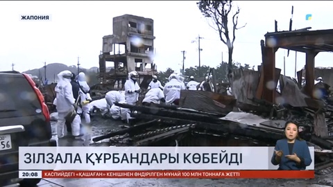 Жапонияда зілзала құрбандарының саны 215-ке жетті