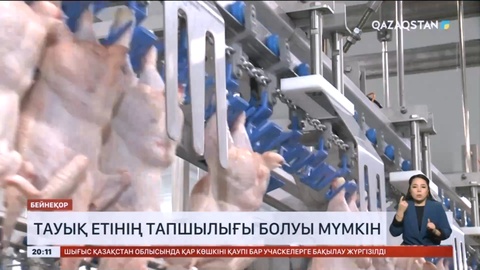 Елімізде тауық етінің тапшылығы болуы мүмкін