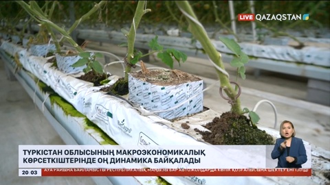 Түркістан облысының макроэкономикалық көрсеткіштерінде оң динамика байқалады