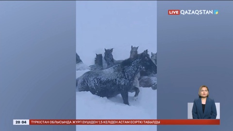 Шығыс Қазақстан облысындағы Марқакөл ауданында 7 ауыл байланыссыз қалды