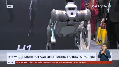 Роботтар үй шаруасындағы адамды толық алмастыруы мүмкін