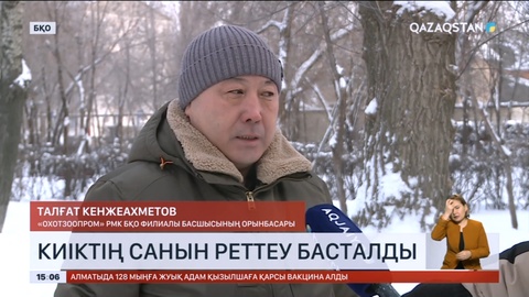 Батыс Қазақстан облысында киіктің санын реттеу қайта басталды